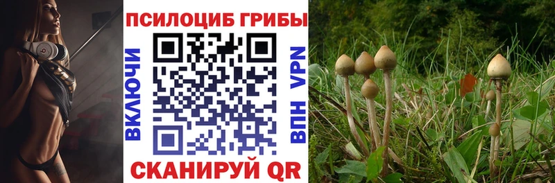 даркнет сайт  Раменское  Псилоцибиновые грибы Magic Shrooms 