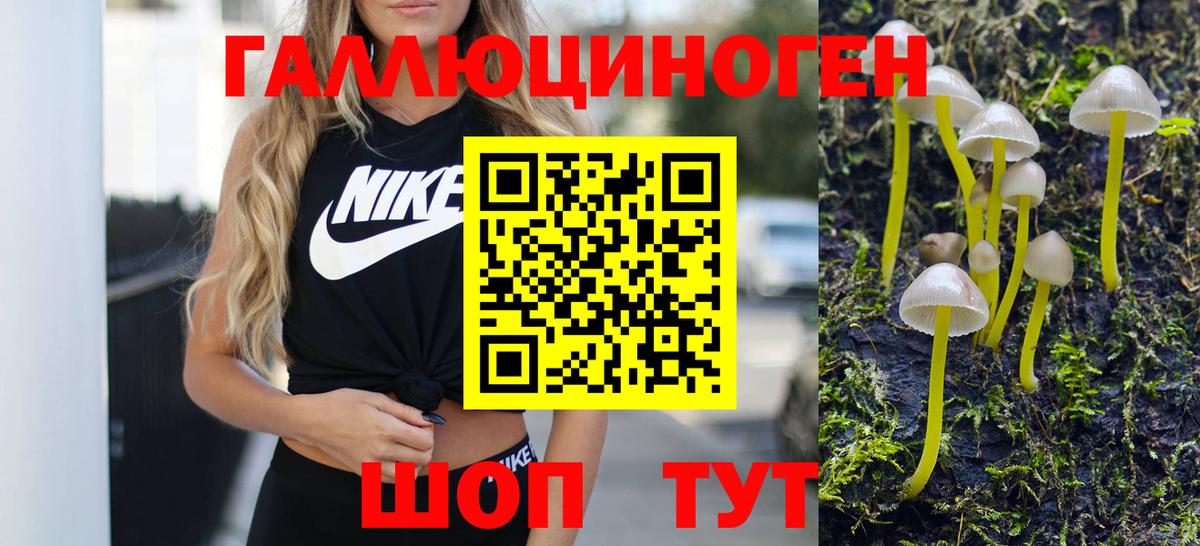 где продают наркотики  Вход с VPN  Раменское  Псилоцибиновые грибы мухоморы  Галлюциногенные грибы прущие грибы 