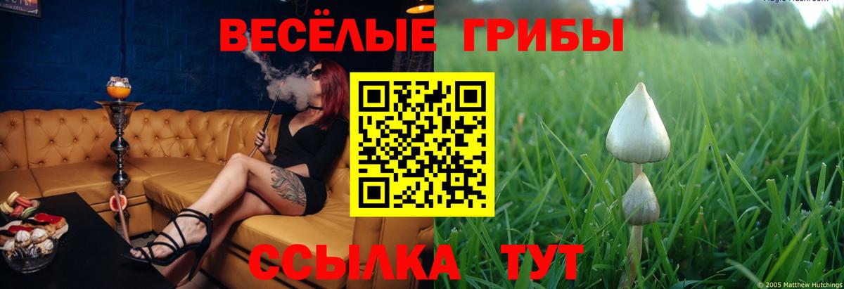 Галлюциногенные грибы ЛСД  Раменское 