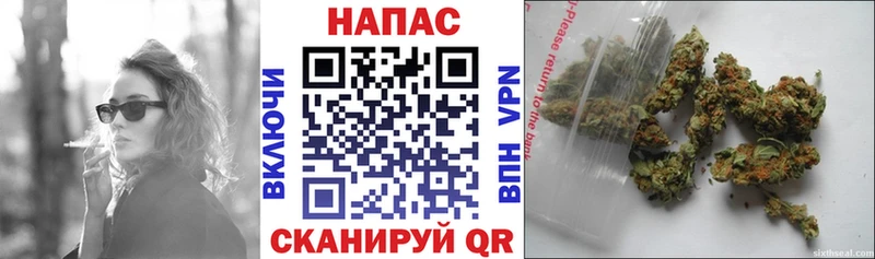 Шишки марихуана OG Kush Раменское